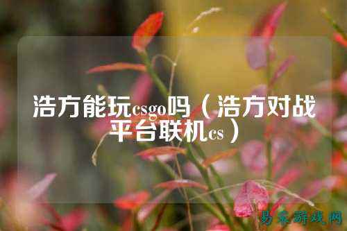 浩方能玩csgo吗(浩方对战平台联机cs)