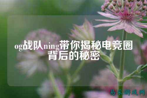 og战队ning带你揭秘电竞圈背后的秘密