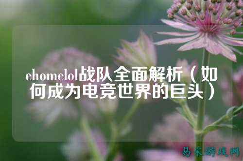ehomelol战队全面解析（如何成为电竞世界的巨头）