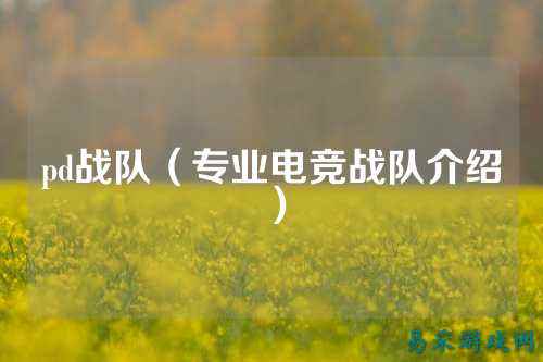 pd战队（专业电竞战队介绍）