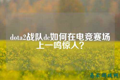 dota2战队dc如何在电竞赛场上一鸣惊人？