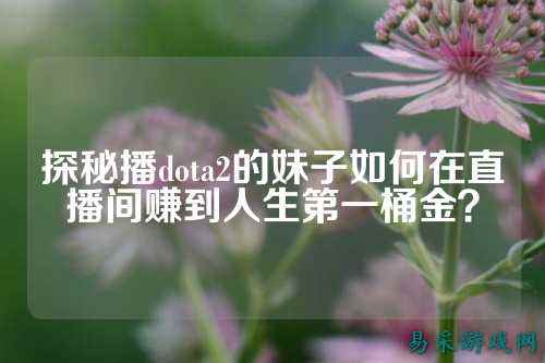 探秘播dota2的妹子如何在直播间赚到人生第一桶金?