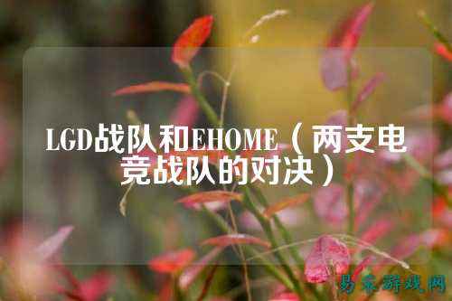 LGD战队和EHOME（两支电竞战队的对决）