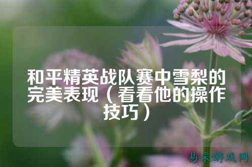 和平精英战队赛中雪梨的完美表现(看看他的操作技巧)