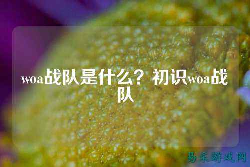 woa战队是什么？初识woa战队