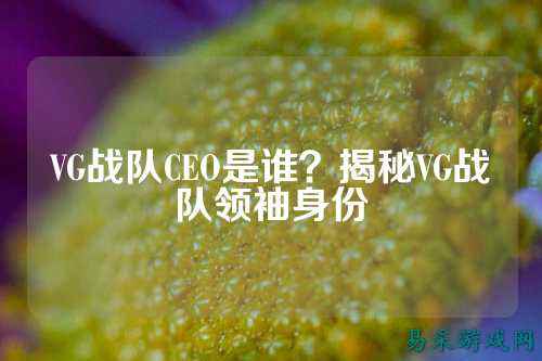 VG战队CEO是谁？揭秘VG战队领袖身份