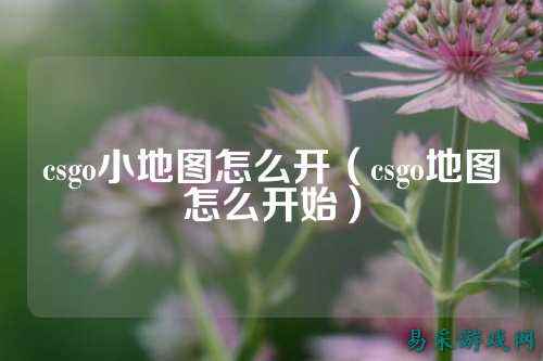 csgo小地图怎么开(csgo地图怎么开始)