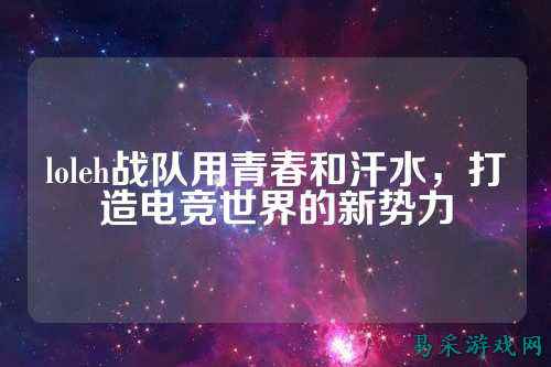 loleh战队用青春和汗水，打造电竞世界的新势力