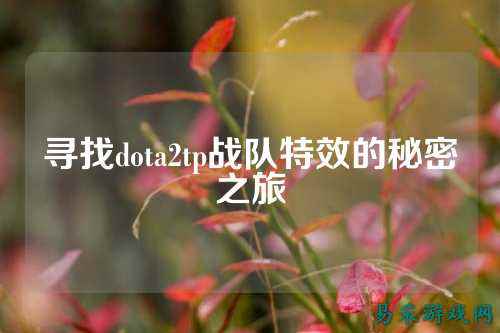 寻找dota2tp战队特效的秘密之旅