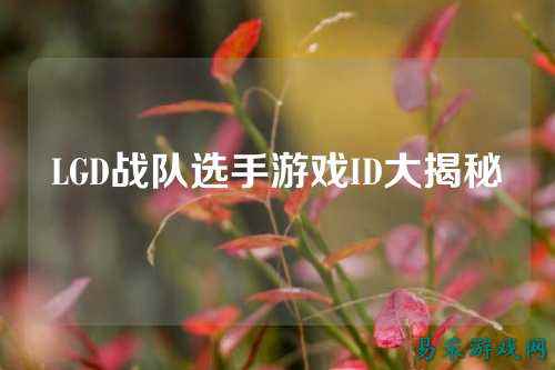 LGD战队选手游戏ID大揭秘