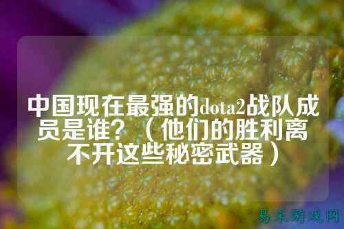 中国现在最强的dota2战队成员是谁?(他们的胜利离不开这些秘密武器)