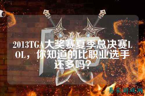 2013TGA大奖赛夏季总决赛LOL,你知道的比职业选手还多吗?