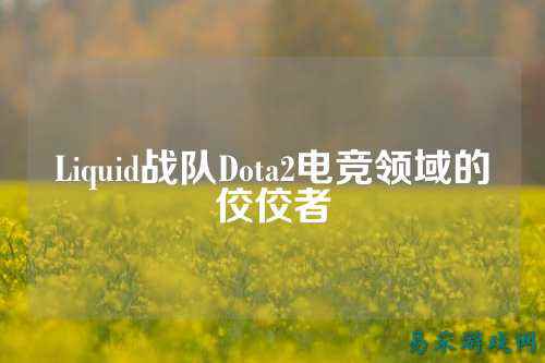 Liquid战队Dota2电竞领域的佼佼者
