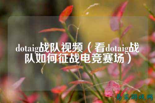 dotaig战队视频（看dotaig战队如何征战电竞赛场）