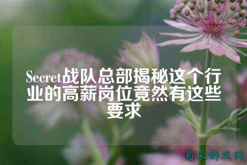 Secret战队总部揭秘这个行业的高薪岗位竟然有这些要求