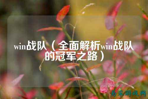 win战队（全面解析win战队的冠军之路）