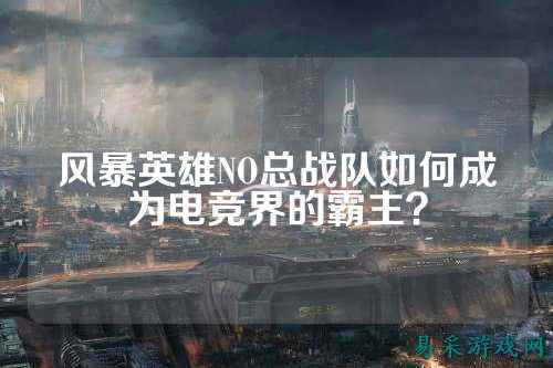 风暴英雄NO总战队如何成为电竞界的霸主？