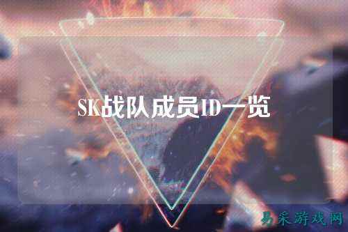 SK战队成员ID一览