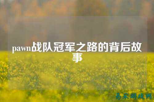 pawn战队冠军之路的背后故事