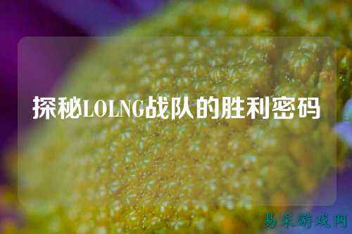 探秘LOLNG战队的胜利密码