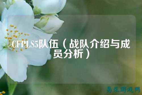 CFPLS5队伍(战队介绍与成员分析)