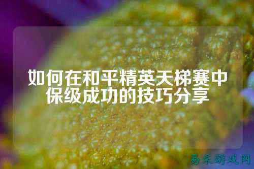 如何在和平精英天梯赛中保级成功的技巧分享