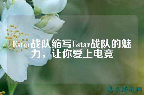 Estar战队缩写Estar战队的魅力，让你爱上电竞