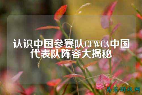 认识中国参赛队CFWCA中国代表队阵容大揭秘