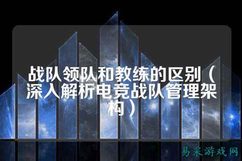 战队领队和教练的区别（深入解析电竞战队管理架构）