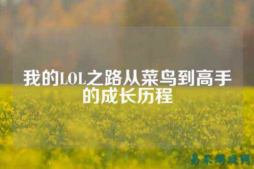 我的LOL之路从菜鸟到高手的成长历程