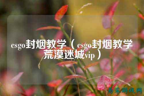 csgo封烟教学(csgo封烟教学荒漠迷城vip)