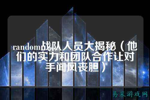 random战队人员大揭秘（他们的实力和团队合作让对手闻风丧胆）
