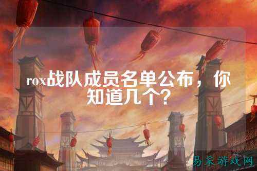 rox战队成员名单公布，你知道几个？