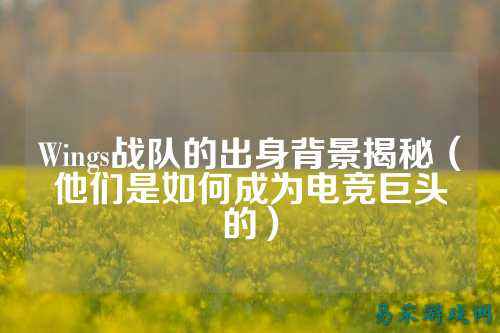 Wings战队的出身背景揭秘（他们是如何成为电竞巨头的）