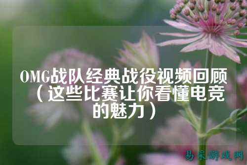 OMG战队经典战役视频回顾（这些比赛让你看懂电竞的魅力）