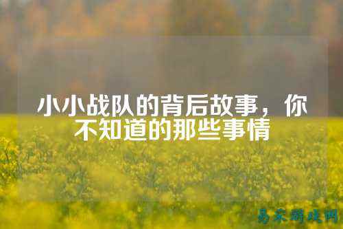 小小战队的背后故事，你不知道的那些事情