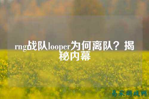 rng战队looper为何离队？揭秘内幕