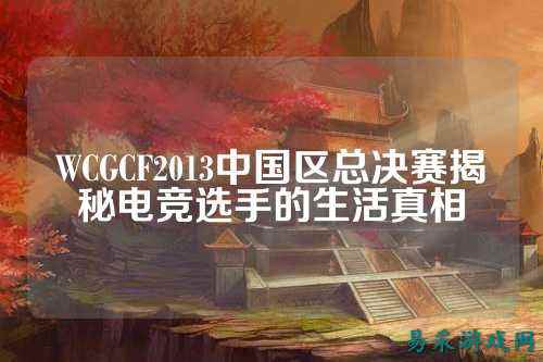 WCGCF2013中国区总决赛揭秘电竞选手的生活真相