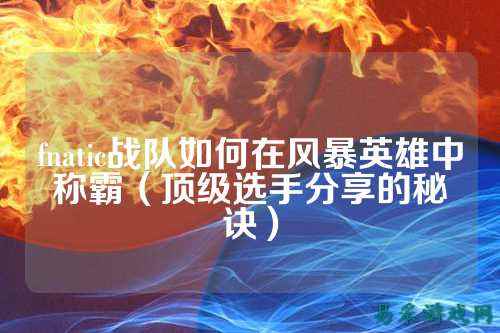 fnatic战队如何在风暴英雄中称霸（顶级选手分享的秘诀）