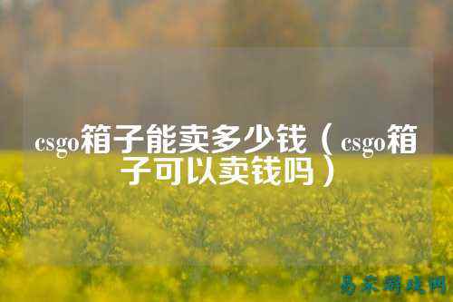 csgo箱子能卖多少钱（csgo箱子可以卖钱吗）