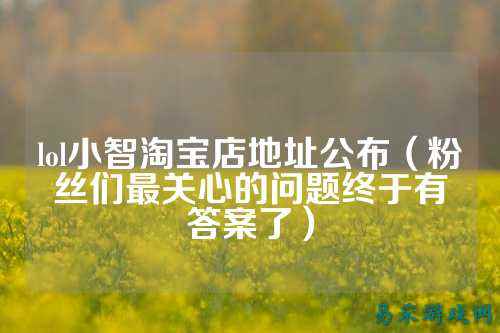 lol小智淘宝店地址公布（粉丝们最关心的问题终于有答案了）