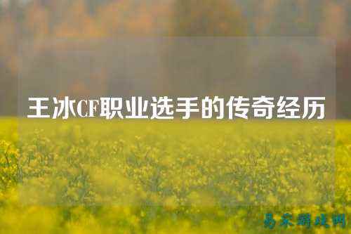 王冰CF职业选手的传奇经历