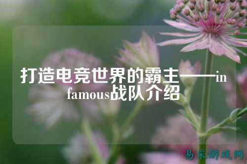 打造电竞世界的霸主——infamous战队介绍
