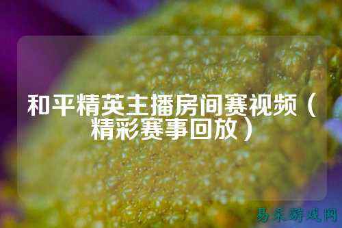 和平精英主播房间赛视频(精彩赛事回放)