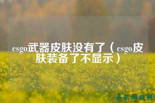 csgo武器皮肤没有了(csgo皮肤装备了不显示)