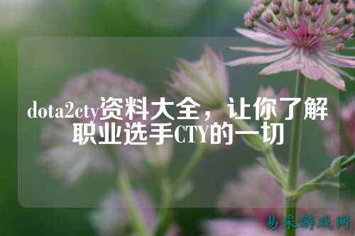 dota2cty资料大全,让你了解职业选手CTY的一切