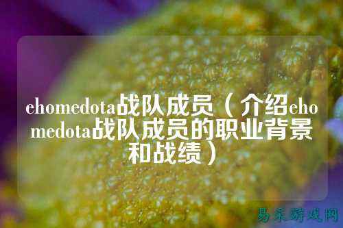 ehomedota战队成员（介绍ehomedota战队成员的职业背景和战绩）