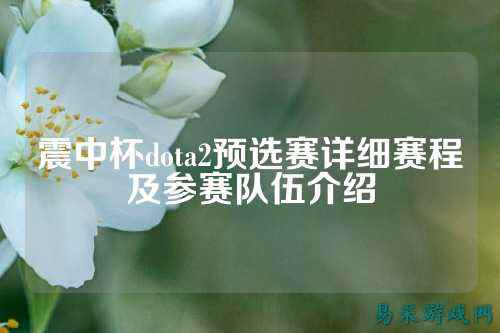震中杯dota2预选赛详细赛程及参赛队伍介绍