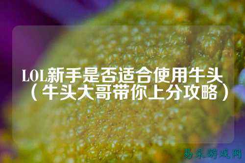 LOL新手是否适合使用牛头（牛头大哥带你上分攻略）