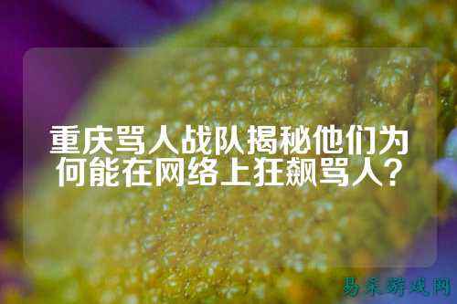 重庆骂人战队揭秘他们为何能在网络上狂飙骂人？